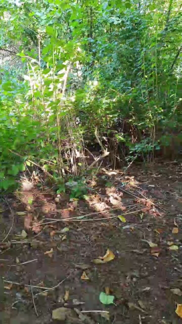 Outdoooorxxx  14-09-2021 Recorded Video Nude